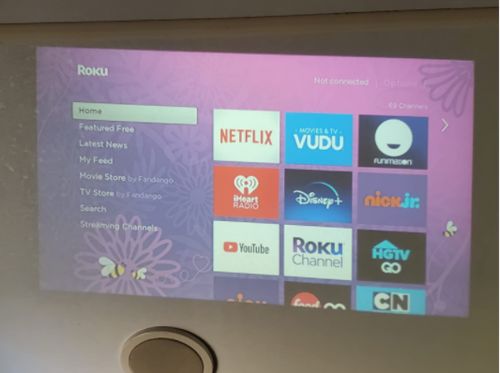Customer photo review of Mini Projector