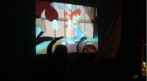 Customer photo review of Mini Projector