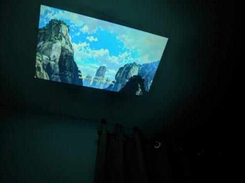 Customer photo review of Mini Projector