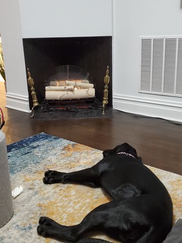 Customer photo review of Dimplex Revillusion 20" Electric Birchwood Log Insert