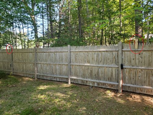 Customer photo review of Dog Silencer® MAX