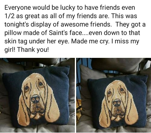 Customer photo review of Dog Face - Custom Knitted Pillow