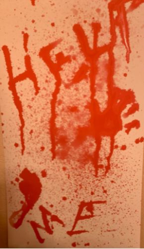 Customer photo review of The Bloody Mat™