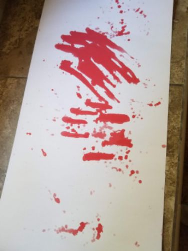 Customer photo review of The Bloody Mat™