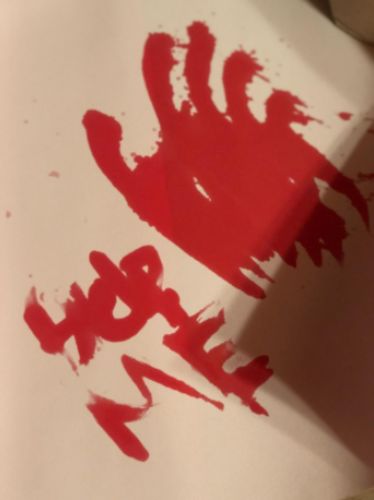 Customer photo review of The Bloody Mat™