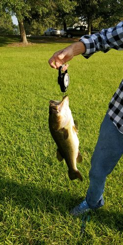 Customer photo review of Headbanger Spitfire 4.5"