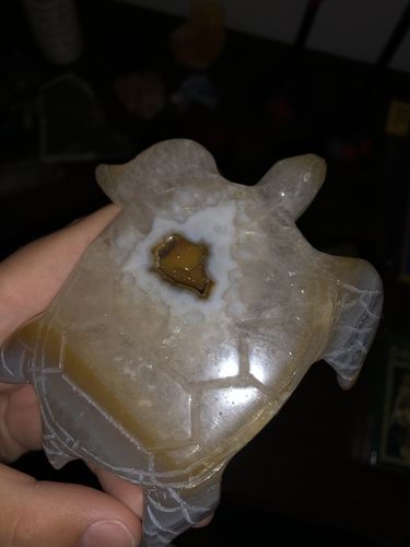 Customer photo review of Sparkling Geode Agate Turtle