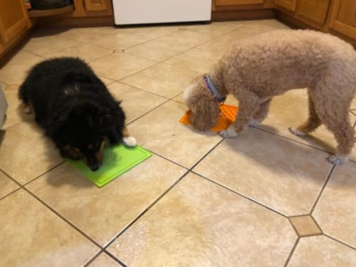 Customer photo review of The Pet-Tamer™