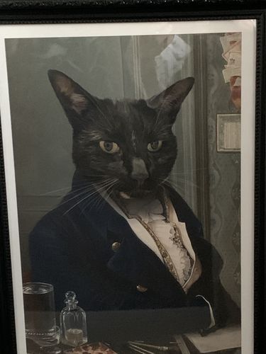 Customer photo review of The Victorian Explorer - Custom Vintage Pet Portrait