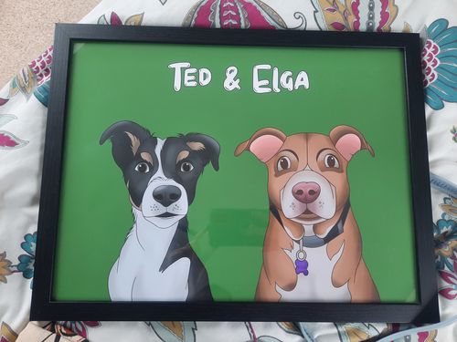 Customer photo review of Cartoon - Custom Pet Portrait