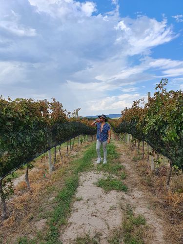 Customer photo review of Recorrido