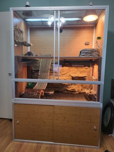 Customer photo review of 4'x2'x4' PVC Panel Reptile Enclosure by Zen Habitats
