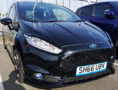 Customer photo review of Fiesta ST180 Fog Light Armour