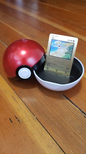 Customer photo review of Pokepet Metal Card