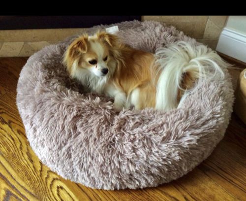 Customer photo review of Removable Cover Premium Calming Dog bed