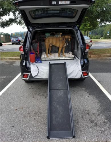 Customer photo review of Portable Folding Car Pet Ramp