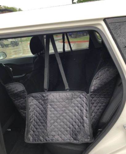 Customer photo review of Dog Back Seat Cover + FREE Dog Seat Belt Buckle