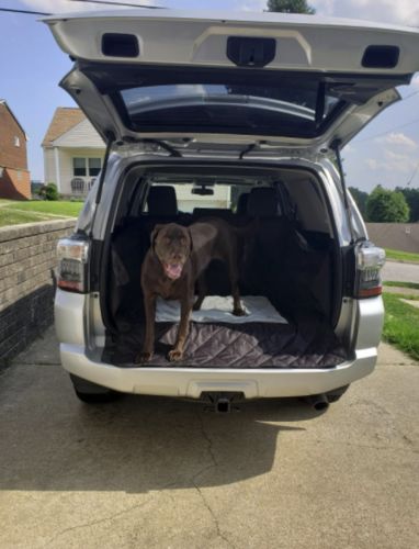 Customer photo review of Heavy Duty Dog Car Boot Cover