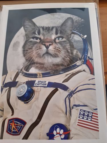 Customer photo review of The Astronaut - Custom Pet Portrait