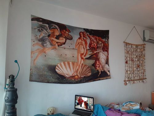 Customer photo review of The Birth of Venus