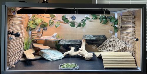 Customer photo review of Zen Mat for 4'x2' Zen Habitats Base Enclosures