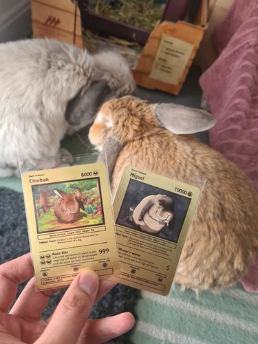 Customer photo review of Metal Card Variants