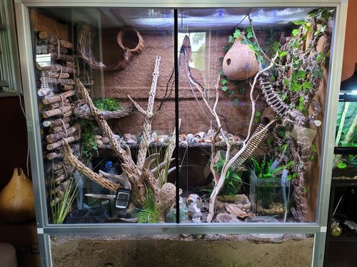 Customer photo review of 4'x2'x4' PVC Panel Reptile Enclosure by Zen Habitats