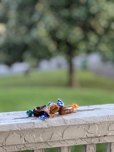 Customer photo review of Custom Assortment
