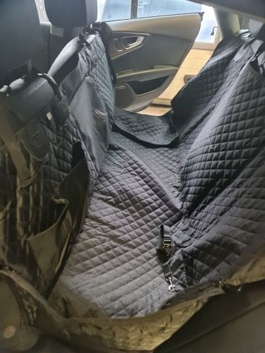 Customer photo review of Dog Back Seat Cover + FREE Dog Seat Belt Buckle
