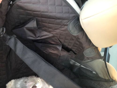 Customer photo review of Dog Back Seat Cover + FREE Dog Seat Belt Buckle