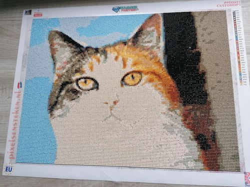 Customer photo review of Diamond Painting Eigen Foto - Maak je eigen ontwerp