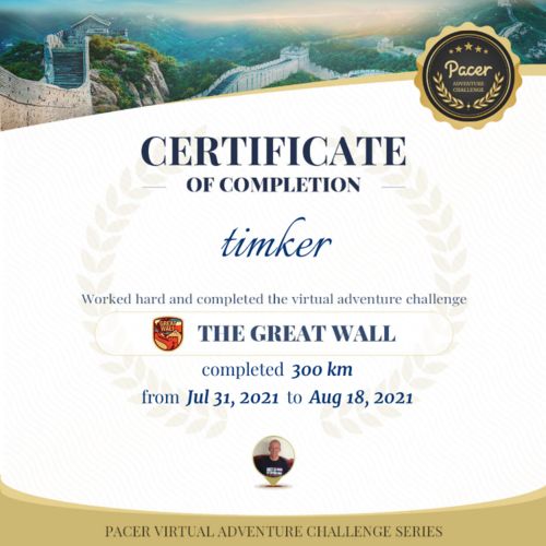 Customer photo review of The Great Wall Virtual Challenge