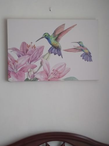 Customer photo review of Colibri and flowers