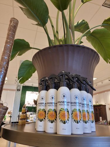 Customer photo review of Houseplant Insecticide w/ Neem