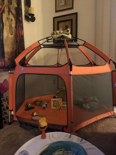 Customer photo review of Pop N' Go® Playpen