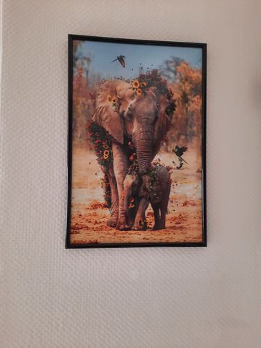 Customer photo review of Tableau Eléphant Exotique