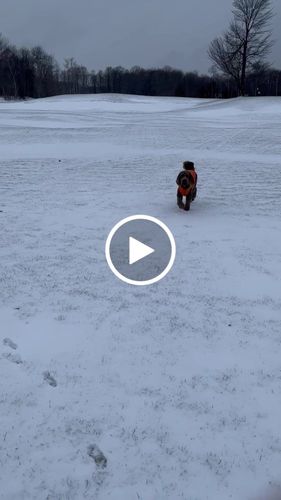 Customer video review of World's lightest warm jacket for dogs