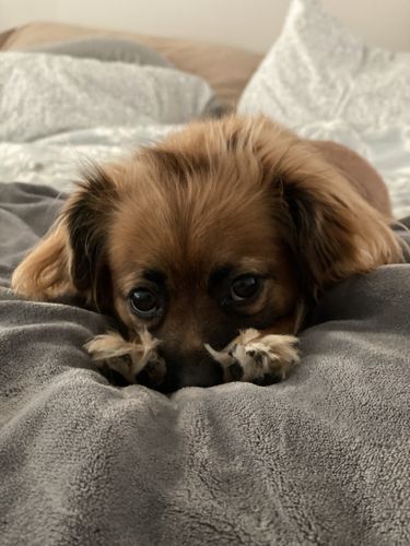 Customer photo review of Carbon Neutral Order