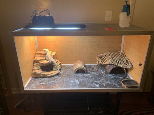 Customer photo review of 4'x2'x2' Wood Panel Reptile Enclosure by Zen Habitats