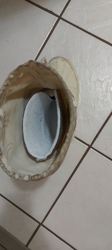 Customer photo review of Radiantex™ Replacement Boot Liners (816 GWR)