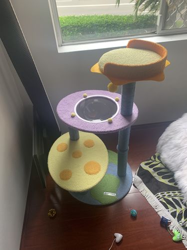 Customer photo review of Galaxy Meow Team Cat Climbing Tree Tinypet