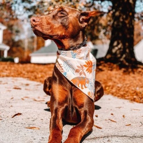 Customer photo review of Ultimate Preset Bundle