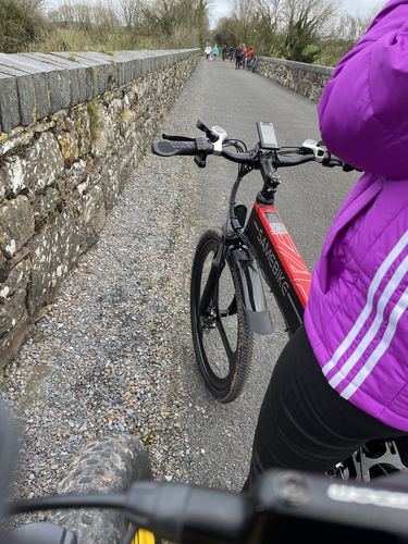 Customer photo review of Samebike LO26 350W Folding Electric Mountain Bike