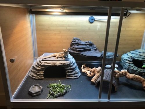 Customer photo review of Zen Cave