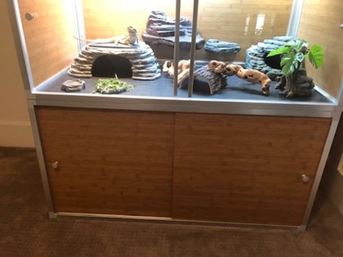 Customer photo review of Meridian Cabinet Stand for 4'x2' Zen Habitats Base Enclosures