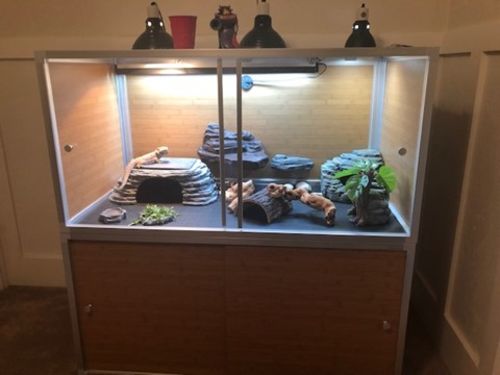 Customer photo review of Meridian 4'x2'x2' PVC Panel Reptile Enclosure