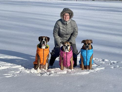 Customer photo review of World's lightest warm jacket for dogs