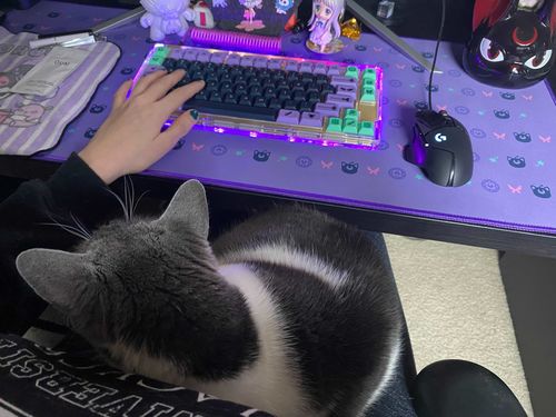 Customer photo review of IDOBAO ID80 Crystal keyboard kit(Gasket mount version)