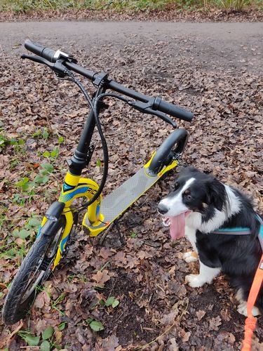 Customer photo review of H100 Electric Scooter 36V*10Ah Lithium Battery 350W max Speed 30km/h