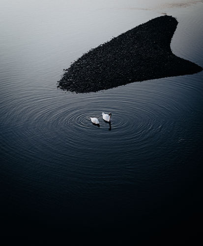 Customer photo review of NAVY